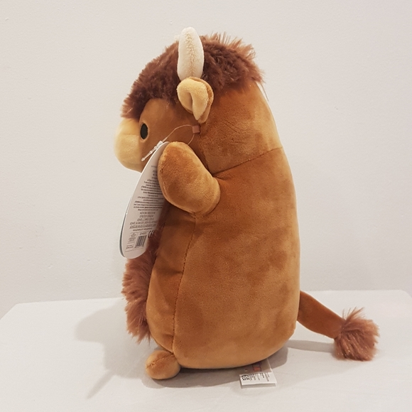Dunkie Hug Me 10" Squishmallow - Picture 2 of 4